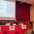 Giovinazzo promuove la cultura della salute tra i giovani