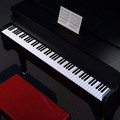 Domani al via il I Festival Pianistico “Giovinazzo Classica”