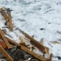 Piattaforma devastata dal maltempo: è polemica a Giovinazzo - VIDEO