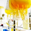 Coronavirus, anche la Puglia si prepara alla plasmaterapia
