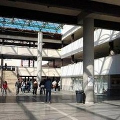 Problemi al Politecnico di Bari, ne parla Striscia la Notizia