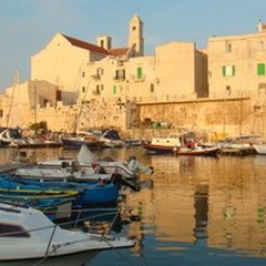 "Laboratorio del Gusto "… amaro per l’ARAC