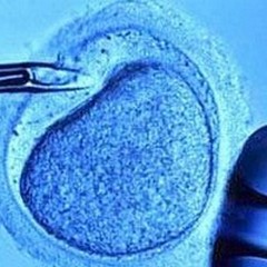 Procreazione medicalmente assistita, se ne parla in sala San Felice