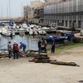 Cala Porto pulita dalle associazioni locali legate al mare