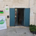 Assoluzione Camporeale, le precisazioni di PrimaVera Alternativa