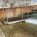 Installata la rampa di accesso al mare in zona porto vecchio