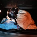 Furti a raffica di ortaggi nei campi. E scatta la prima denuncia