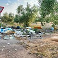 Rifiuti abbandonati su provinciali e statali, asse Depalma-Vitto per tavolo urgente