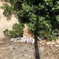 «Non ti curar di lor ma guarda e passa». Il PD attacca l'Amministrazione sui rifiuti nella zona del Tourist Village
