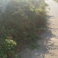 «Le strade di campagna sono di serie B!»