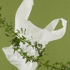  "Assobioplastiche " si schiera a fianco di  "Led "