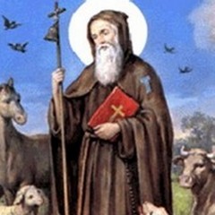 Sant'Antonio Abate, il programma del sabato