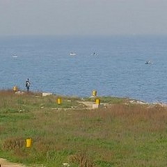 Stop alla balneazione a Torre Gavetone
