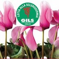 Oggi è la Giornata per la lotta alla sclerodermia