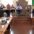 Consiglio comunale, cittadinanza onoraria a Capitano Ultimo