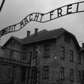 Giovinazzo ricorda la Shoah