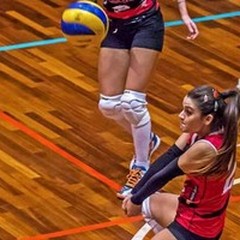 Simona Sollecito, libero da esportazione