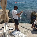 Operazione di polizia giudiziaria  "Spiagge libere ", oltre 5mila controlli
