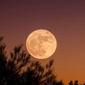 Visibile anche da Giovinazzo la Superluna piena del Castoro