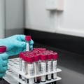 Meno dell'1% di casi positivi su oltre 20 mila tamponi in Puglia