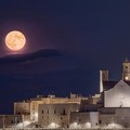 Giovinazzo sul podio del concorso "Wiki Loves Monuments "