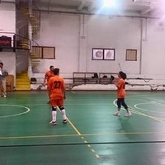 Si sgonfia il caso Palasport di via Devenuto