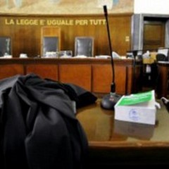 Furti di olive, scagionato un 48enne