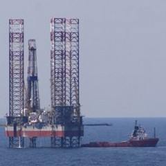 Trivelle in Adriatico, Depalma condivide l'azione di Vitto