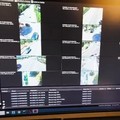 Telecamere ai varchi d'entrata di Giovinazzo pienamente operative: il VIDEO