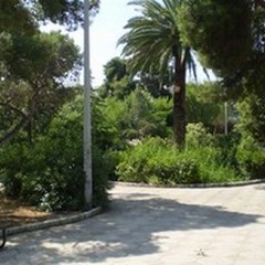 Al via la rigenerazione del verde urbano
