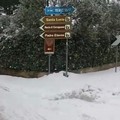 Neve nelle campagne: nuovo VIDEO dalla zona del Padre Eterno