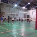 Volley Ball e Pegaso '93: «Insieme per crescere»