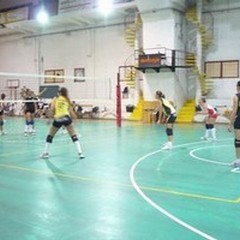 Che brutta Volley Ball! Il Bitetto la stende: 3-0
