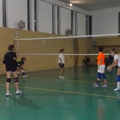 Volley Ball sprecona e sconfitta a Molfetta