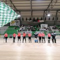 AFP Giovinazzo, stasera si torna al PalaPansini
