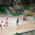 AFP Giovinazzo, stasera torna Domenico Illuzzi