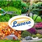 Lavoro e Sicurezza Srl, manutenzione professionale e cura di aree verdi e giardini pubblici e privati