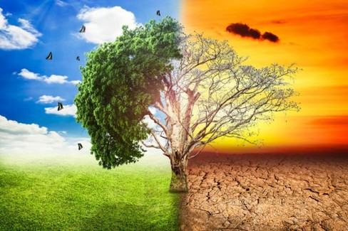 Il pericolo dei cambiamenti climatici