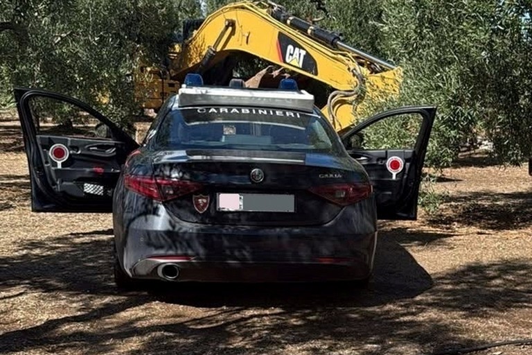 L'escavatore recuperato dai Carabinieri