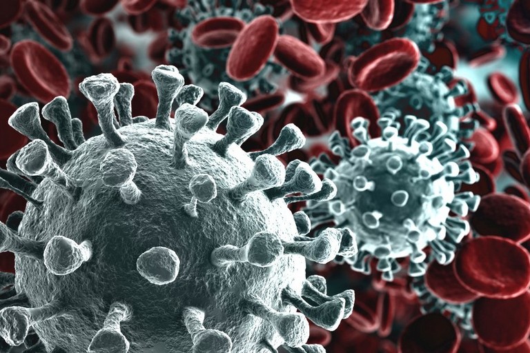 Coronavirus