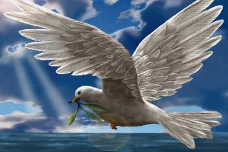 Domenica delle Palme