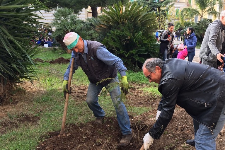 Festa dell'Albero 2019. <span>Foto Marzia Morva</span>