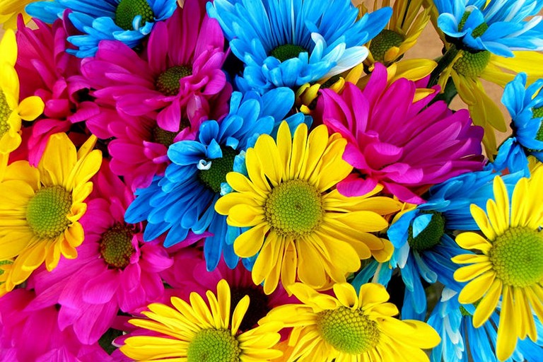 Fiori
