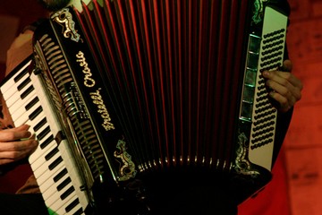 Fisarmonica