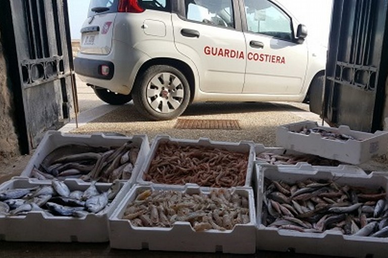 I 40 chilogrammi di prodotto ittico sequestrati