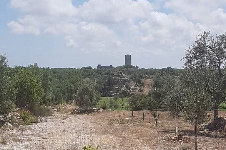 Torre Sant'Eustachio. <span>Foto Domenico Carbonara</span>