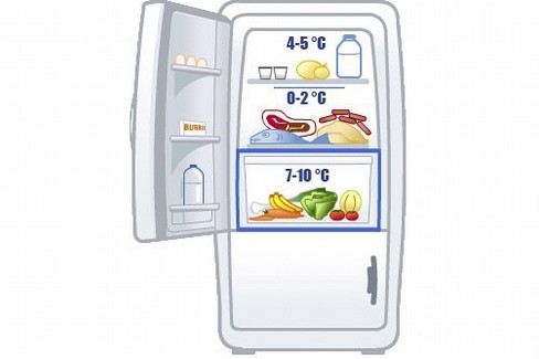 Frigo
