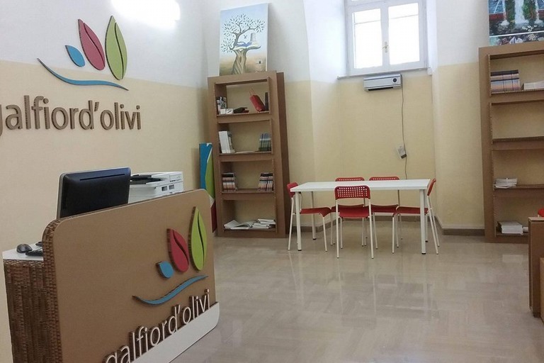 Gal Nuovo Fior d'Olivi