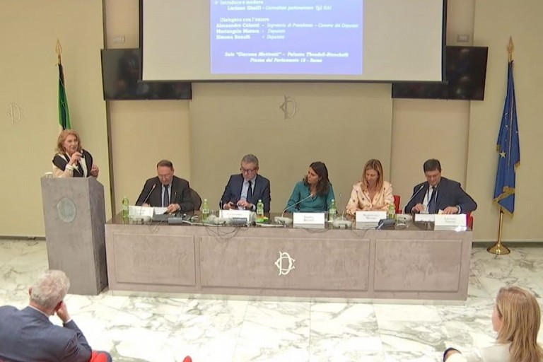 Presentazione libro Picicco - Camera dei Deputati