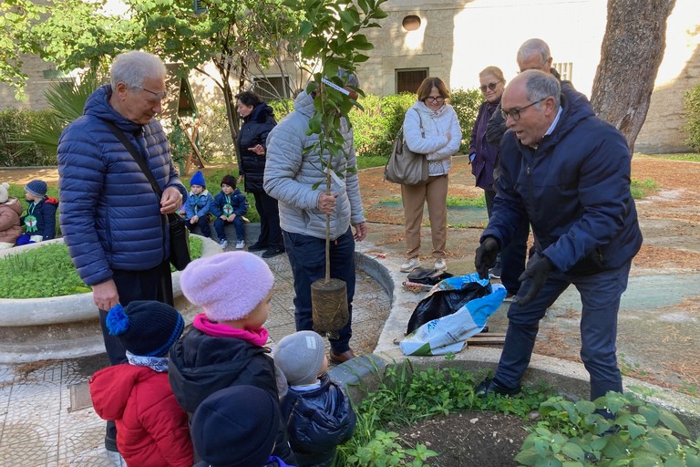 Giornata dell'albero alla 